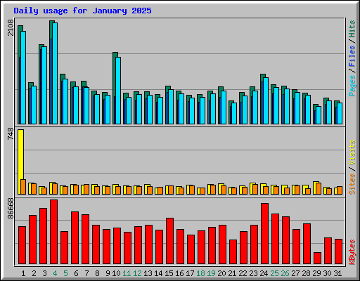 Daily usage for January 2025