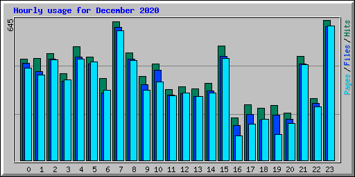Hourly usage for December 2020