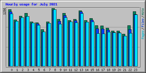 Hourly usage for July 2021
