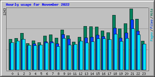 Hourly usage for November 2022