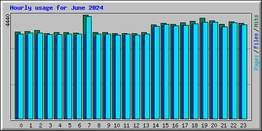Hourly usage for June 2024