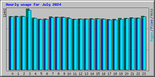 Hourly usage for July 2024