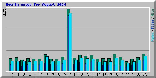 Hourly usage for August 2024