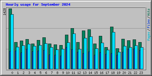Hourly usage for September 2024