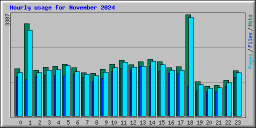 Hourly usage for November 2024