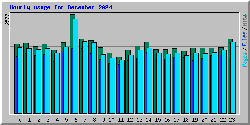 Hourly usage for December 2024