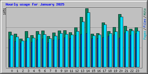 Hourly usage for January 2025