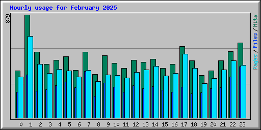 Hourly usage for February 2025