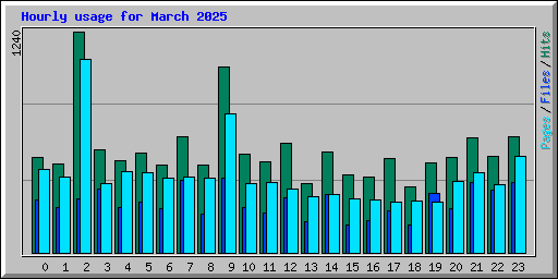 Hourly usage for March 2025