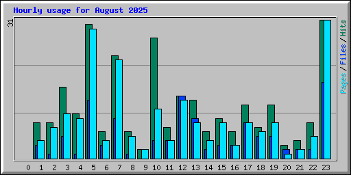 Hourly usage for August 2025