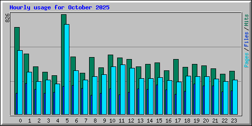 Hourly usage for October 2025