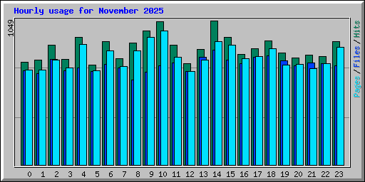 Hourly usage for November 2025