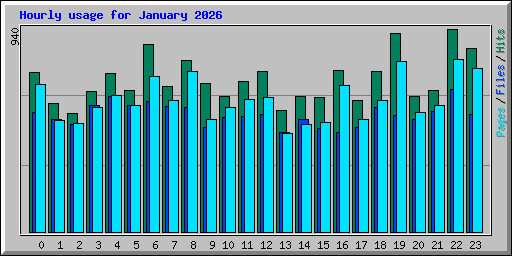 Hourly usage for January 2026