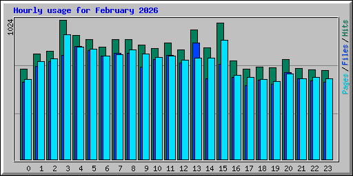 Hourly usage for February 2026