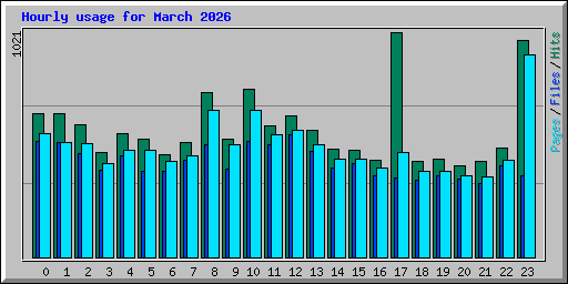 Hourly usage for March 2026