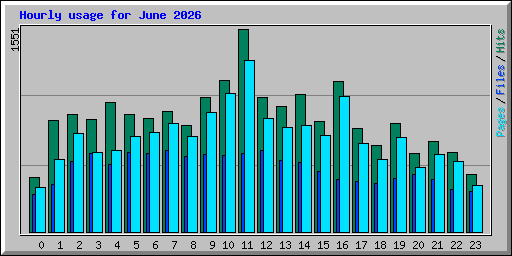 Hourly usage for June 2026