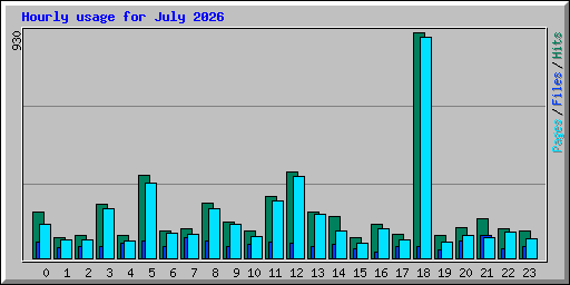 Hourly usage for July 2026